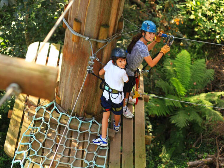 Get your Tarzan on at the Trees Adventure Park