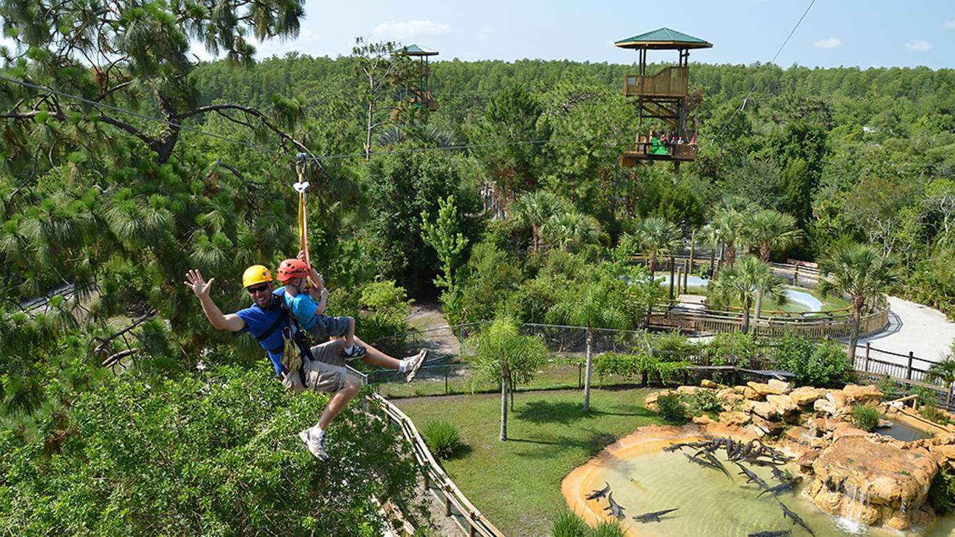 Gatorland | Attractions in Meadow Woods Cove, Orlando