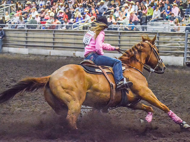 Rodeo at Magestic Valley Arena