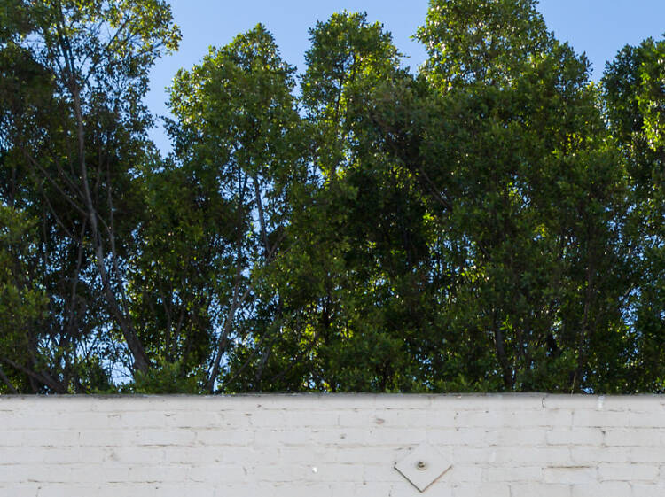 What are those ugly diamonds bolted onto the side of old buildings?