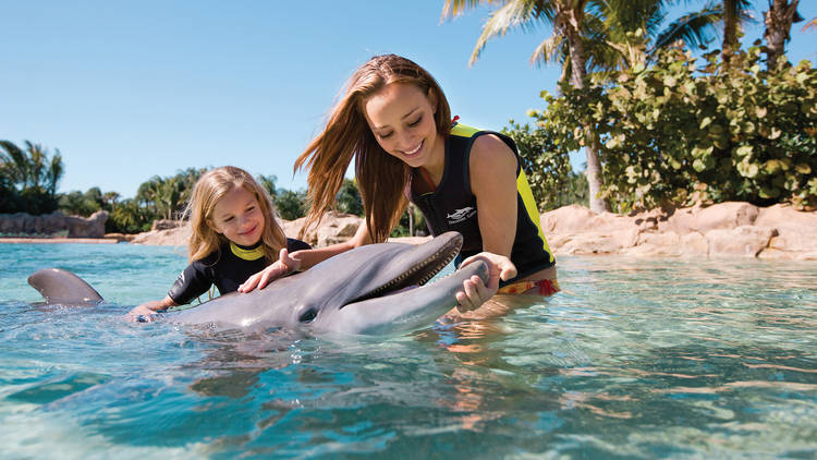 Photograph: Courtesy Discovery Cove