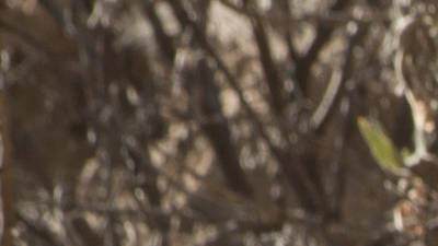 Bone Tomahawk Bone Tomahawk