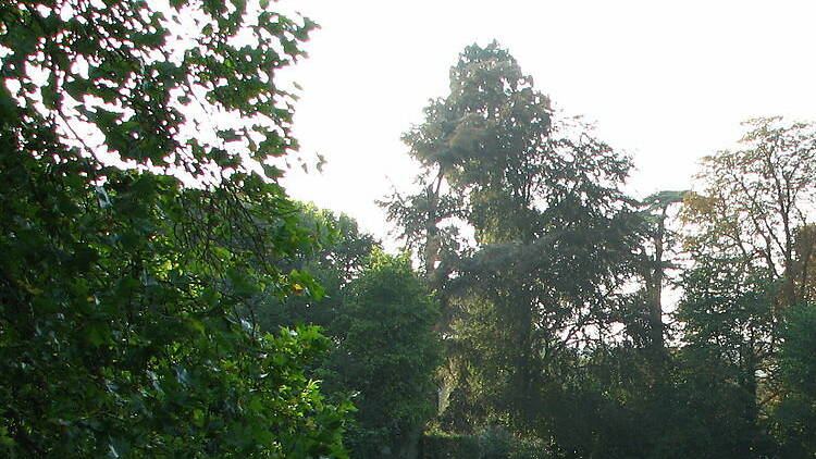 Explore the Celle-Saint-Cloud forests on horseback