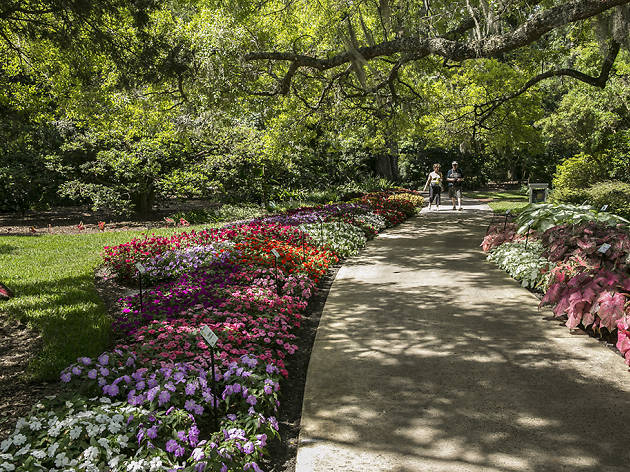 Harry P Leu Gardens Attractions In Rose Isle Orlando