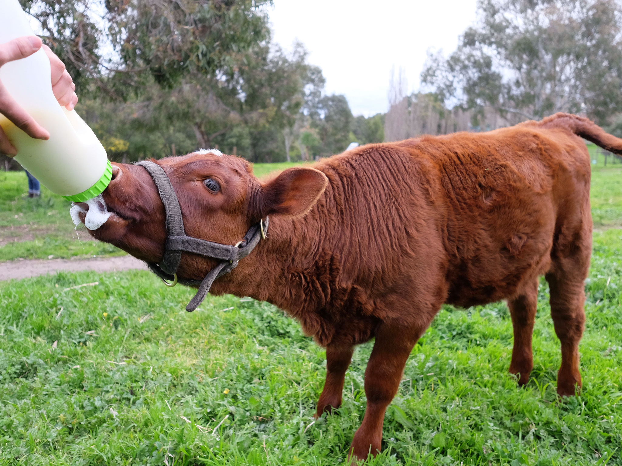 Things to Do with Kids & Family in Melbourne Time Out Melbourne