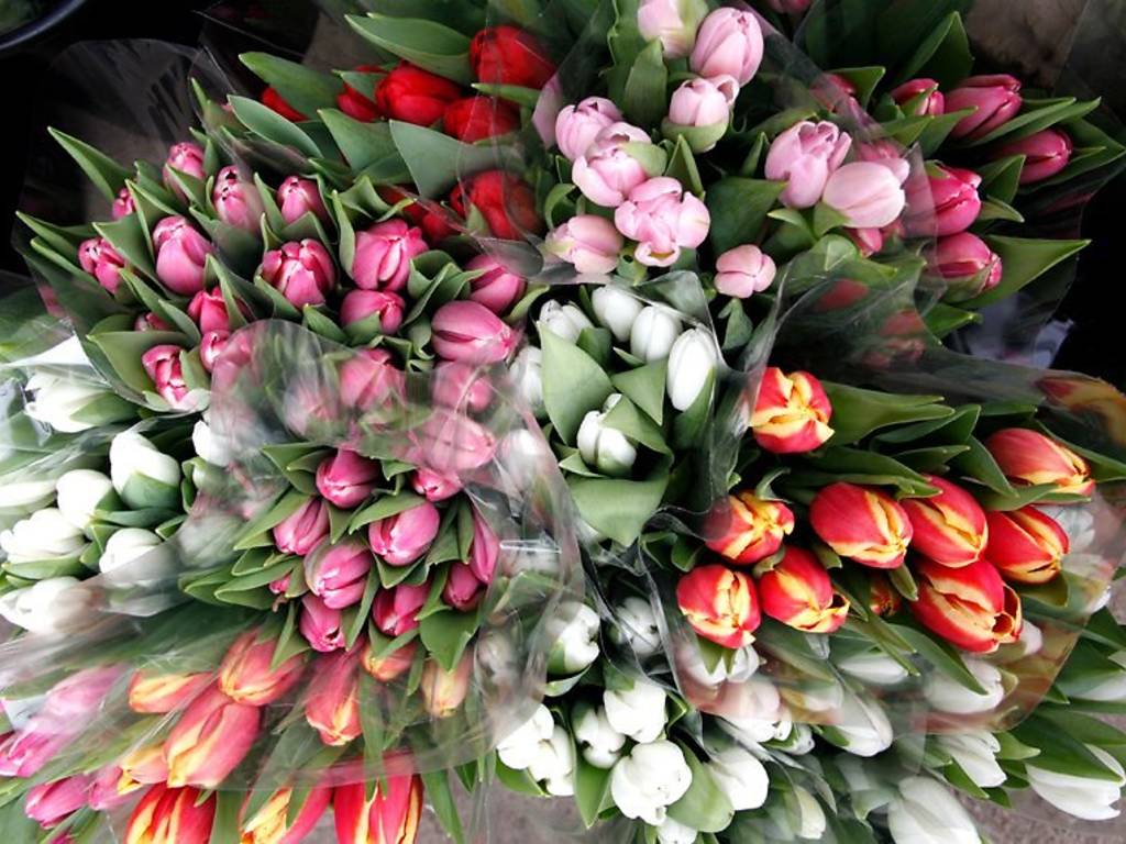 24 Chicago Flower Shops For Blooms