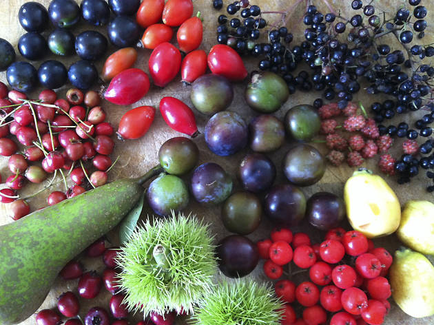 Nine great things to do alone in London foraging