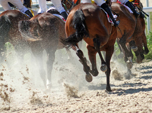 Queen’s Plate Queen’s Plate