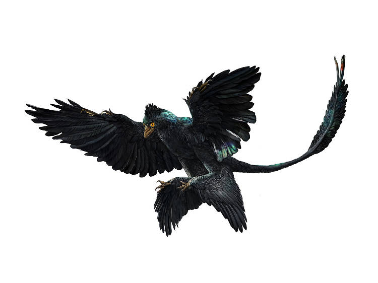 Microraptor