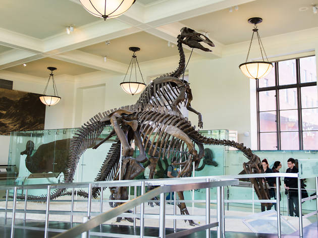 American Museum of Natural History American Museum of Natural History