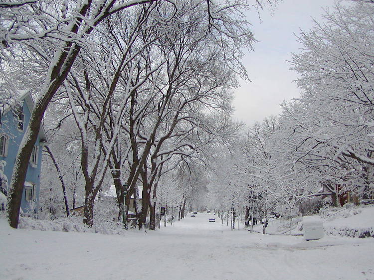 13 things that only Minnesotans understand about winter