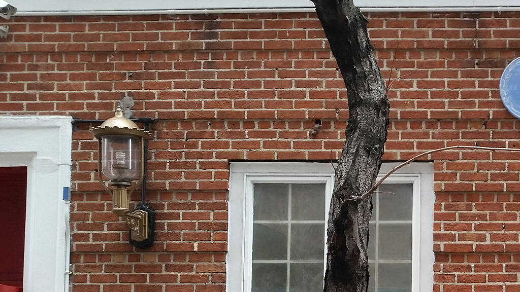 Best acting schools in NYC for all levels