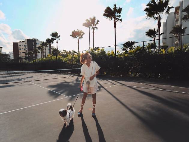 Tennis court Tennis court