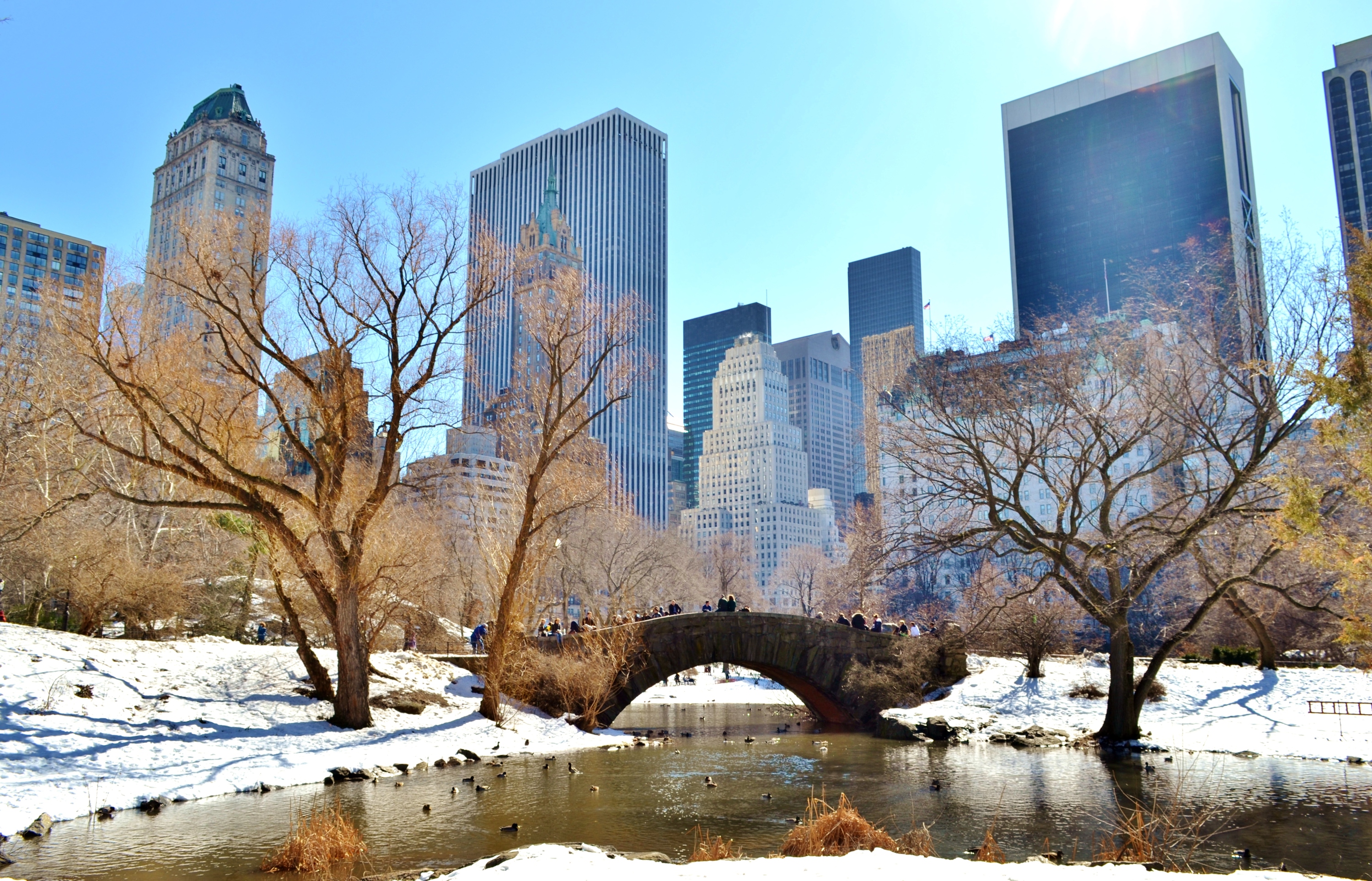 Америка зимнее время. Централ парк Нью Йорк зима. Централ парк Нью-Йорк зимой. Центропарк Нью Йорк зима. Нью-Йорк США Центральный парк зимой.