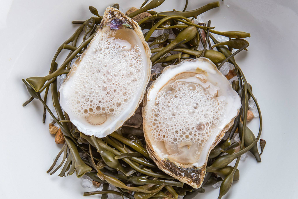 Apis Restaurant & Apiary Restaurants in Austin