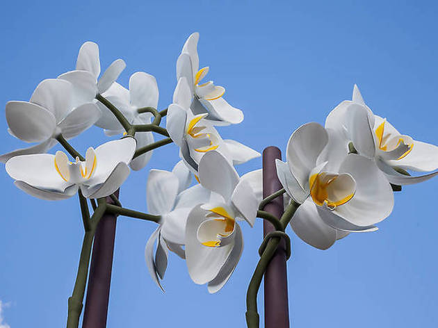 Isa Genzken, Two Orchids Isa Genzken, Two Orchids