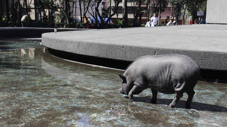 Plaza Río de Janeiro