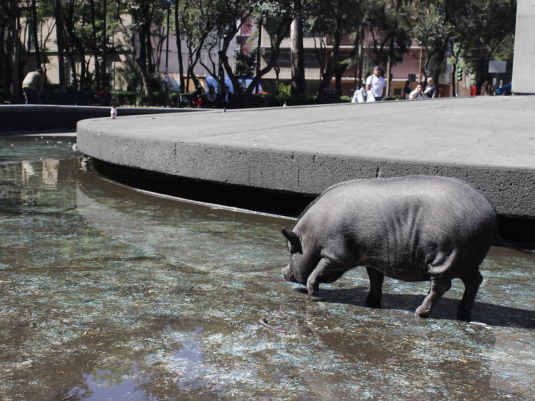 Plaza Río de Janeiro