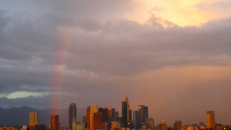 Los Angeles Rainbow