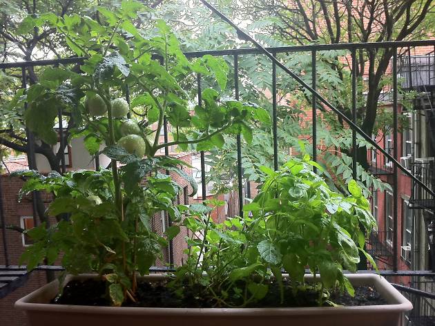 14 things all New Yorkers are excited to buy