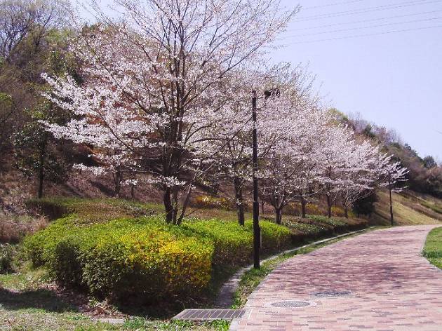小山内裏公園 東京公園協会 土屋さまより/小滝