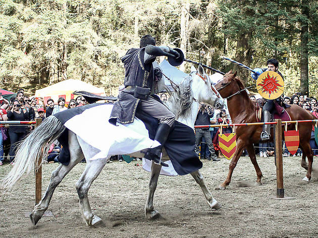 Festival medieval Festival Medieval La Marquesa 2016, un festival que recrea la Edad Media