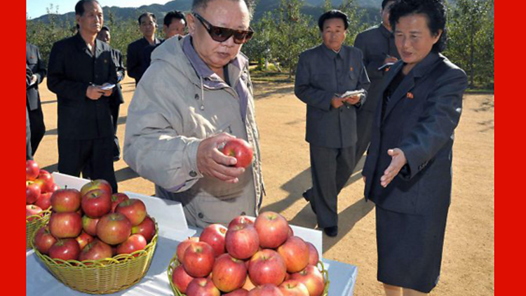 Apparently, we love to look at Kim Jong Il looking at things. 