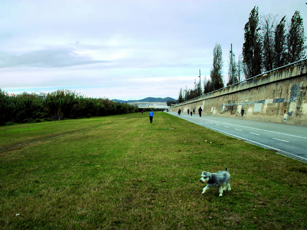 Parc Fluvial del Besòs Parc Fluvial del Besòs