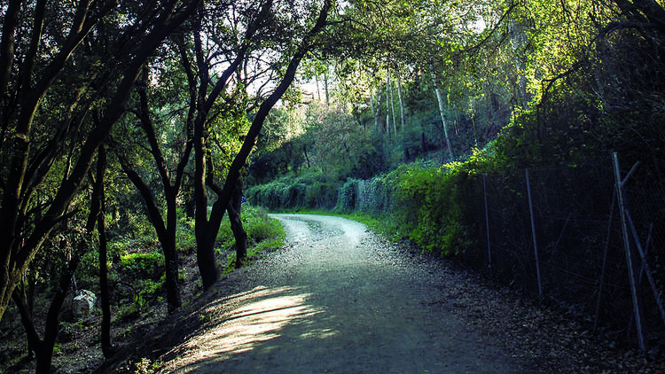 Collserola