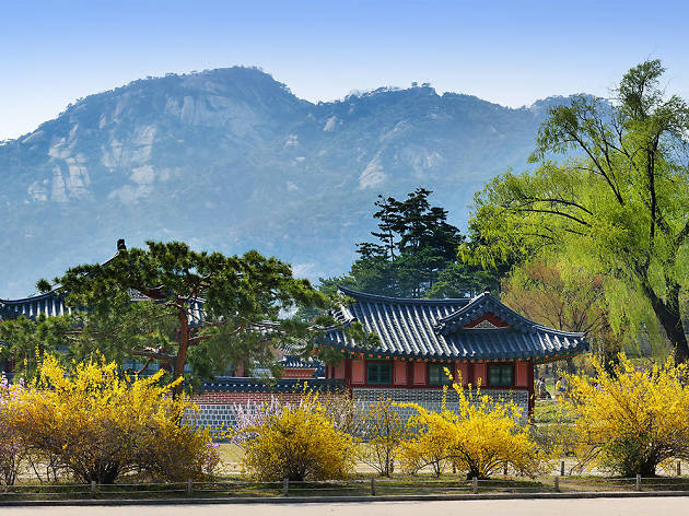 경복궁 경복궁