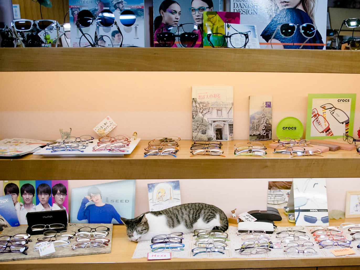 The best eyewear shops in Tokyo Time Out Tokyo