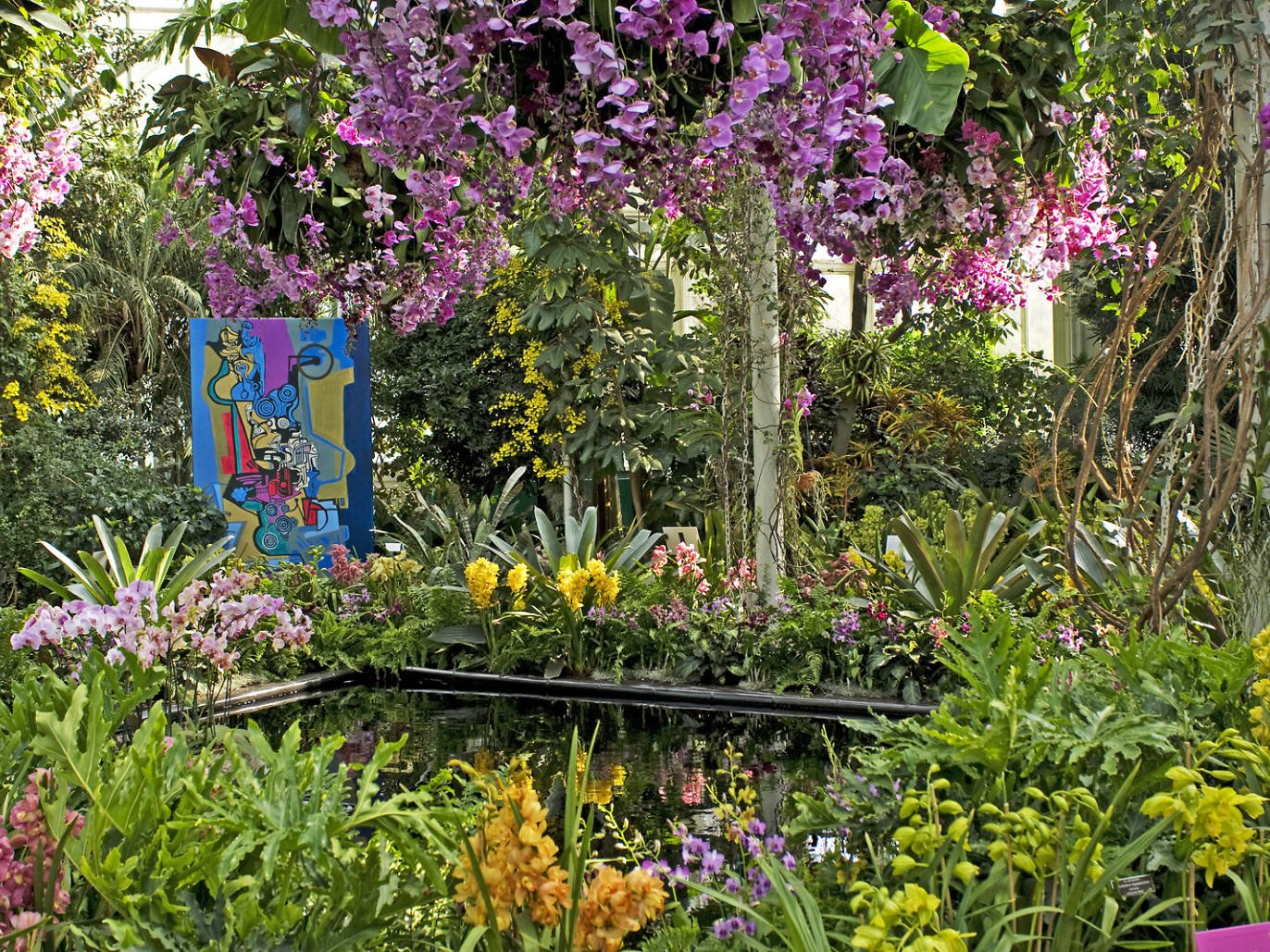 Orchid Show in NYC Guide With 2024’s Theme and Ticket Info