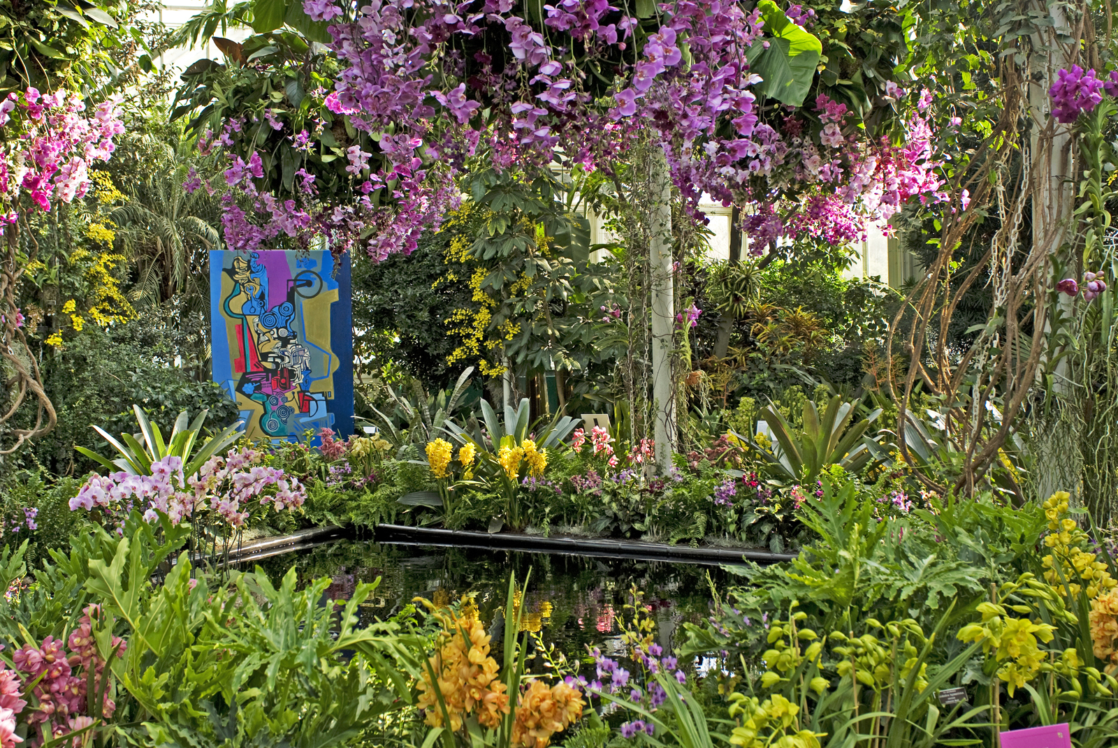 Orchid Show in NYC Guide With 2020's Theme And Ticket Info