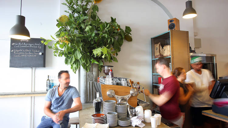 Barista making coffee at Plenty Windsor