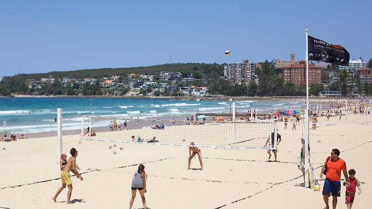 Manly area guide