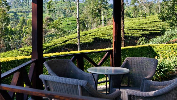 Ceylon Tea Trails