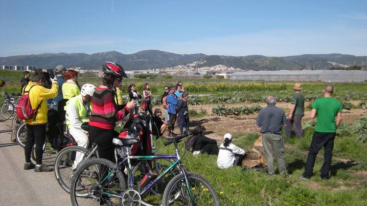 És de la nostra terra i km 0