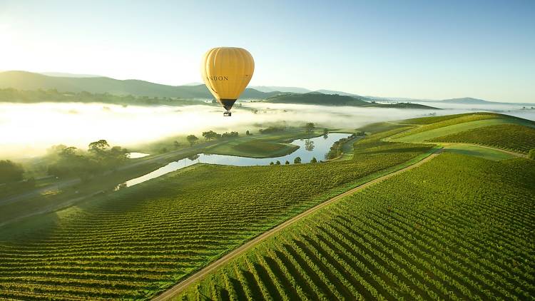 A hot air balloon floats over the Yarra Valley in Victoria