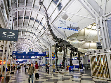 5 things to do at O’Hare if your flight is delayed or canceled 5 things to do at O’Hare if your flight is delayed or canceled