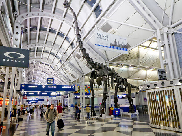 5 things to do at O’Hare if your flight is delayed or canceled 5 things to do at O’Hare if your flight is delayed or canceled