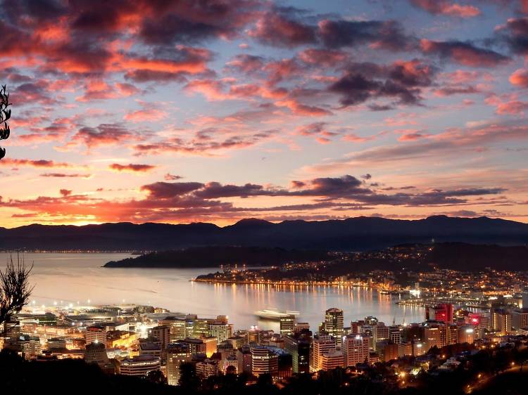 Wellington