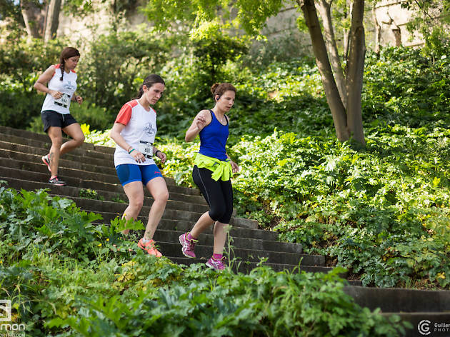 Salomon Run Salomon Run