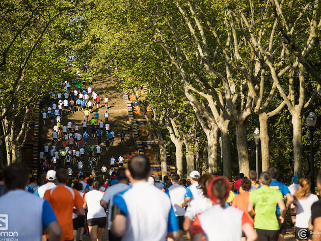 Salomon Run Salomon Run