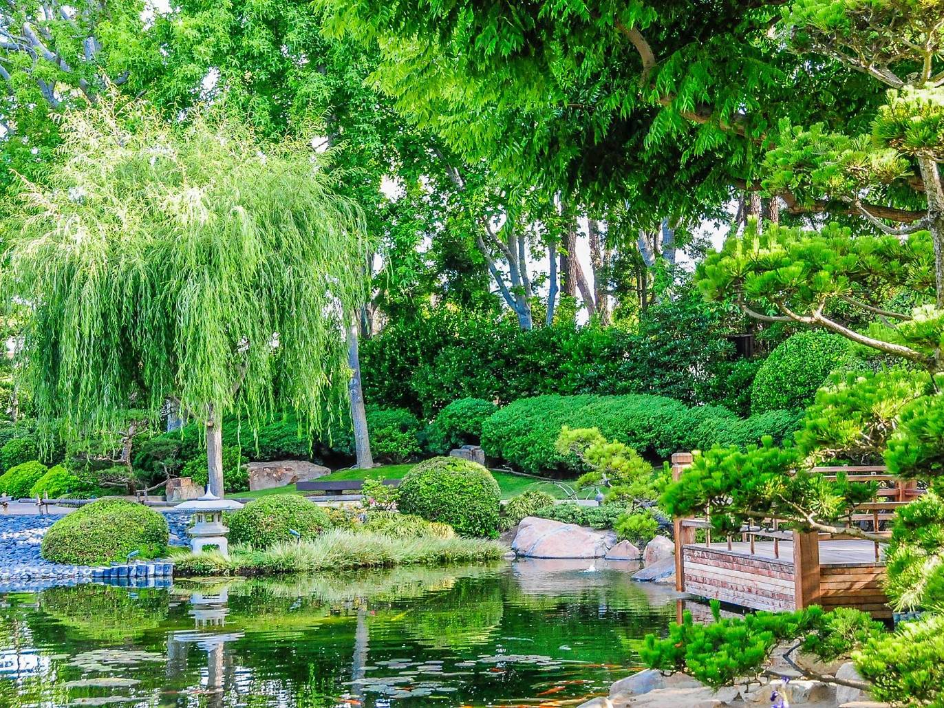 Japanese Gardens in Los Angeles and Where to Find Them