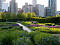 Lurie Garden