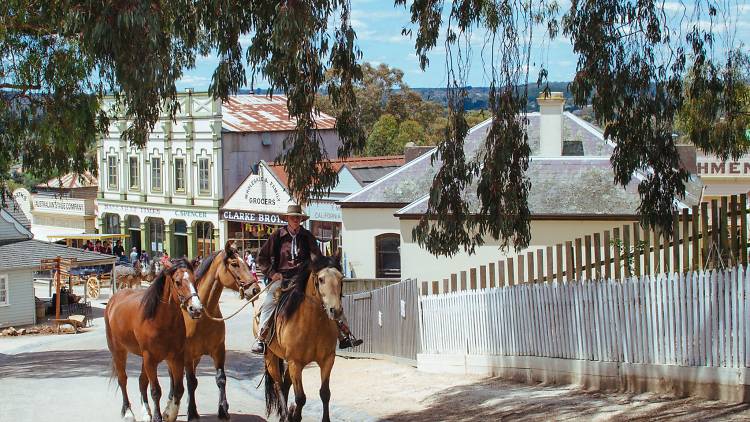 A man leads horses in Ballarat
