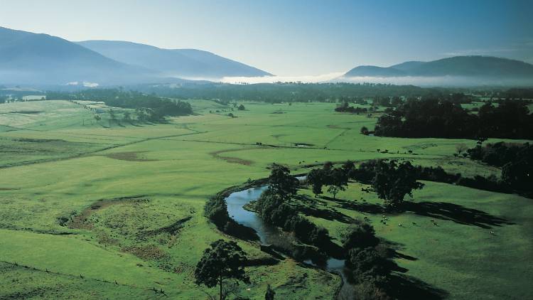 Overlooking Coldstream in the Yarra Valley