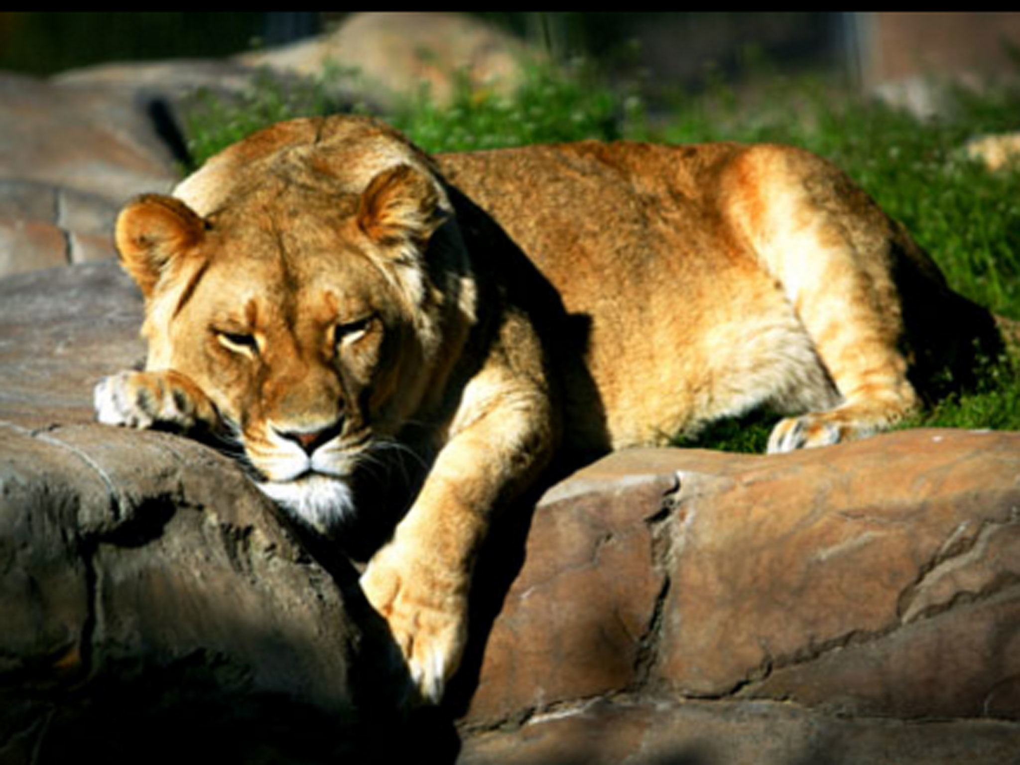 A guide to visiting Canberra