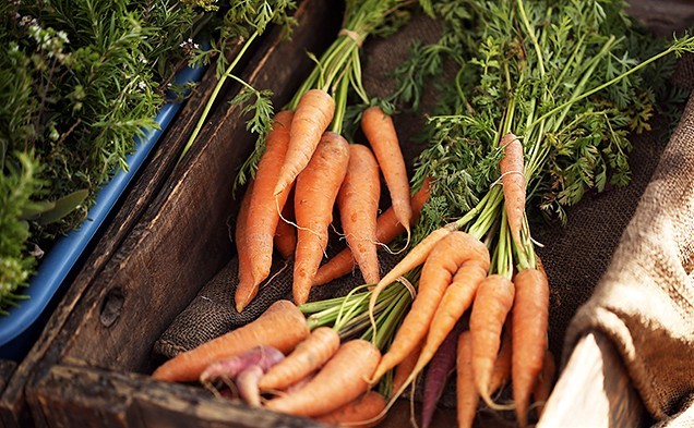 Farmers markets melbourne eastern suburbs