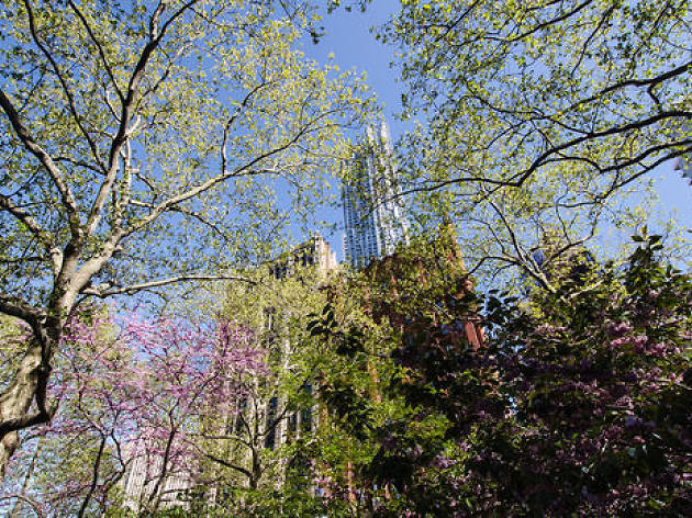 23 signs that it's spring in NYC 23 signs that it's spring in NYC